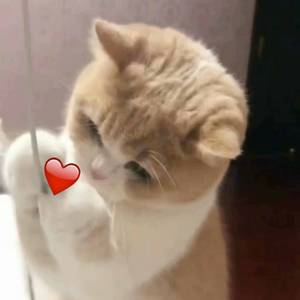 开心激情播播网
